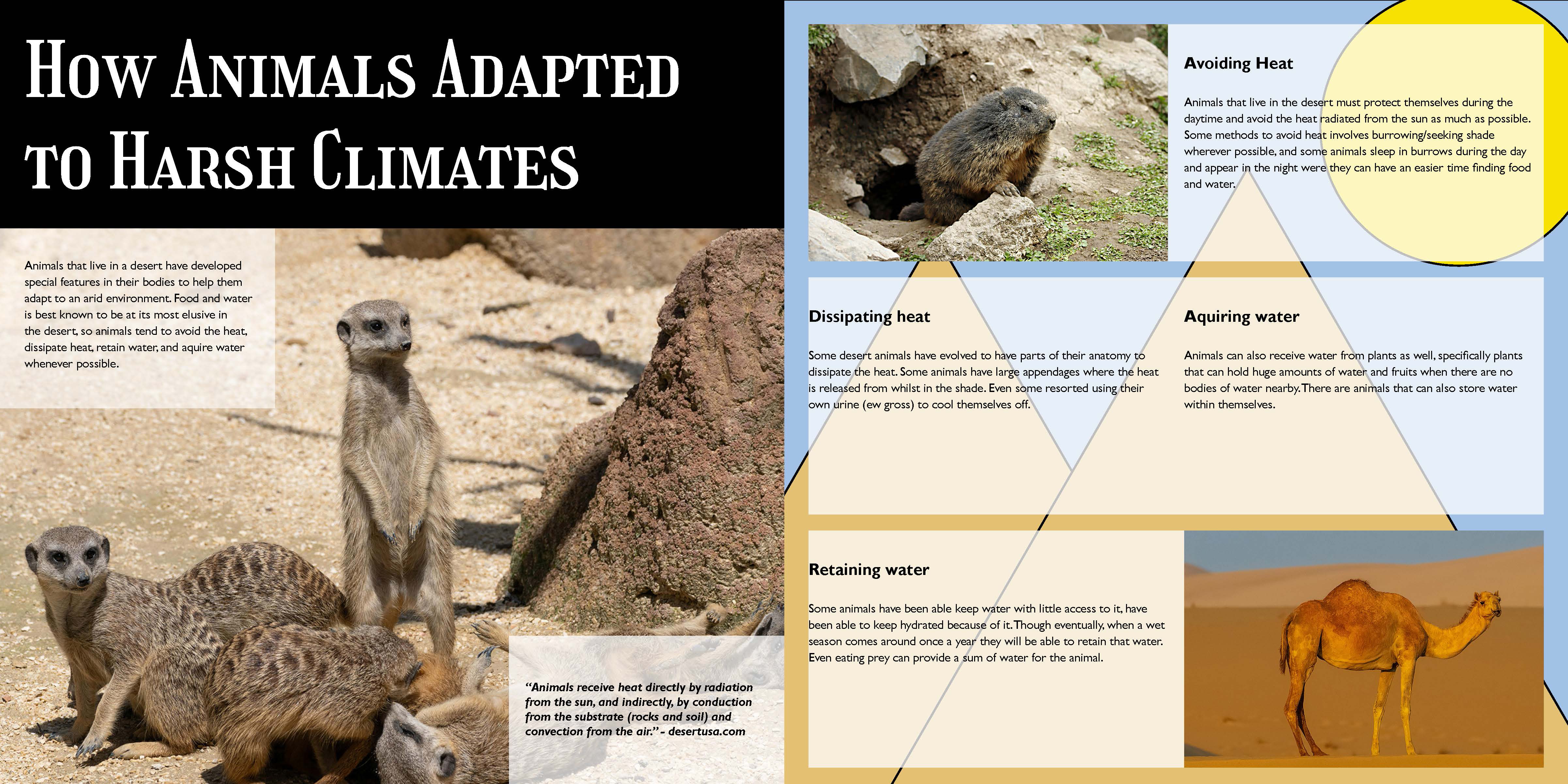 Typography Brochure pgs. 4-5 Version 1