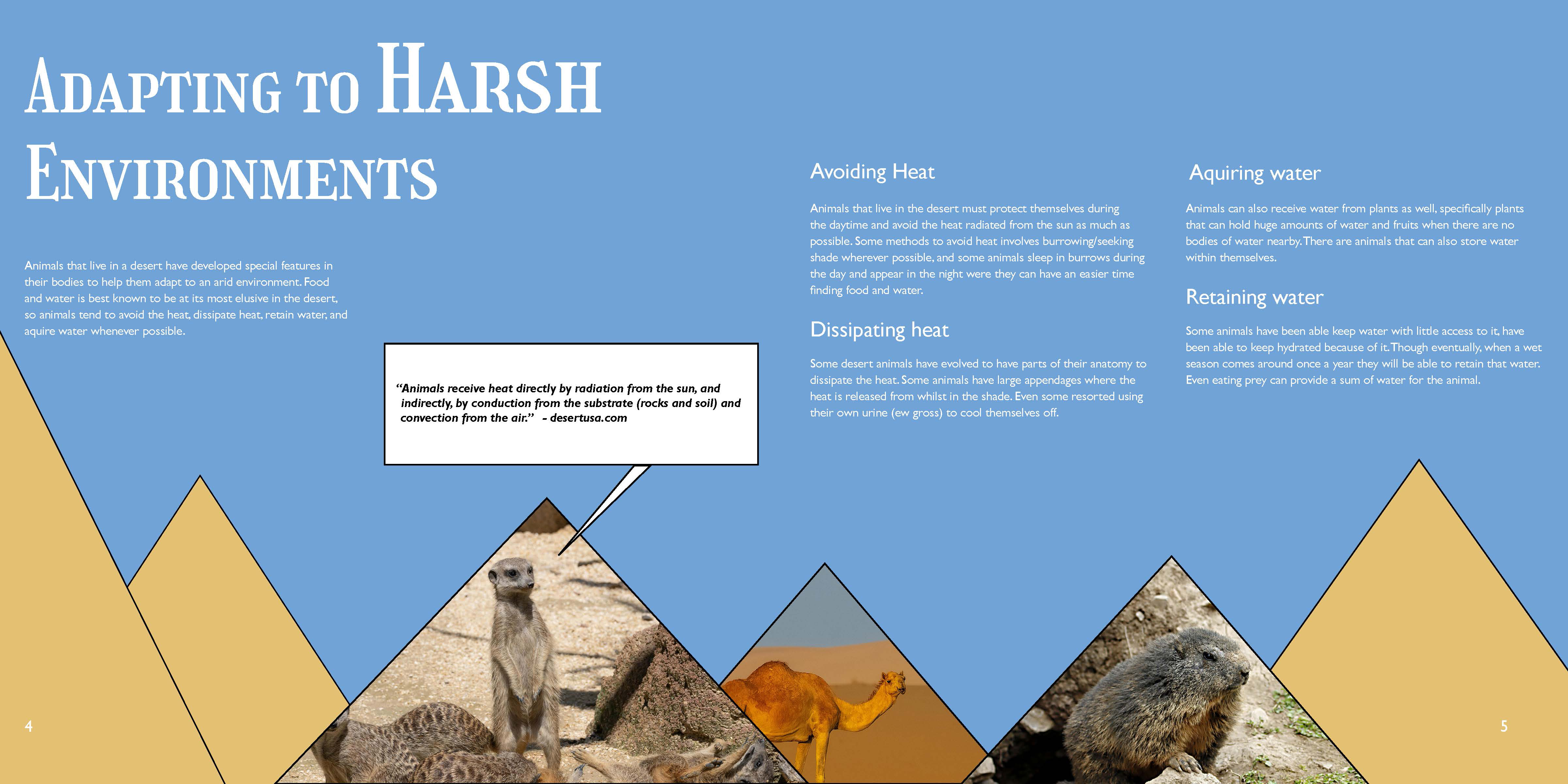 Typography Brochure pgs. 4-5 version 2