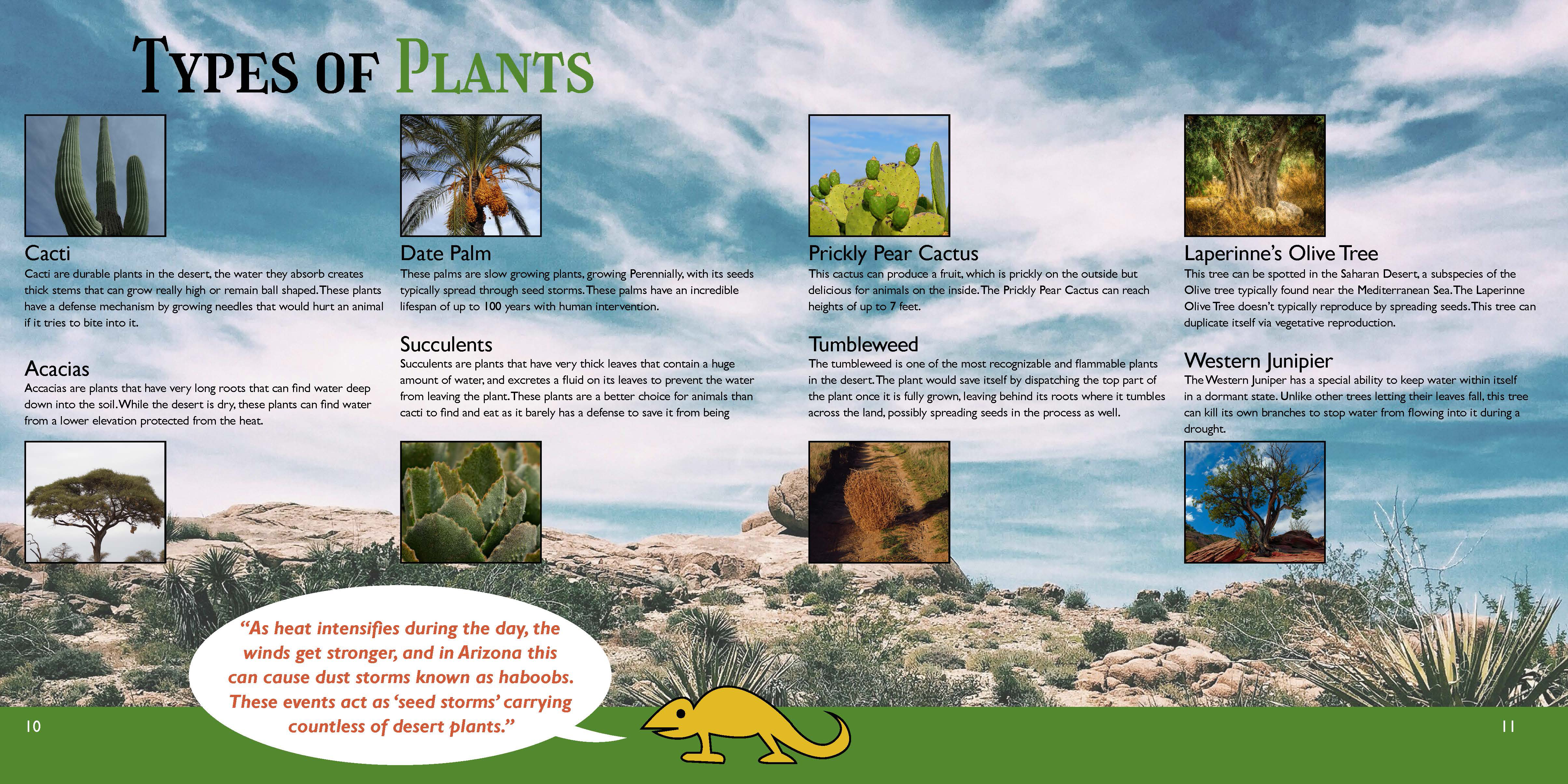 Typography Brochure pgs. 10-11 version 3