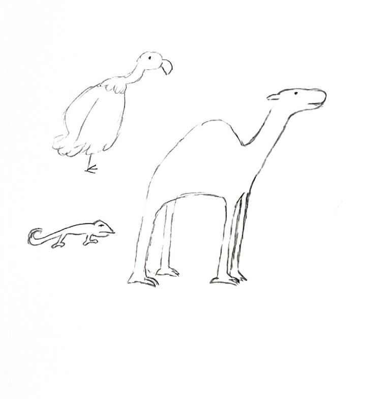 animal sketches for the brochure