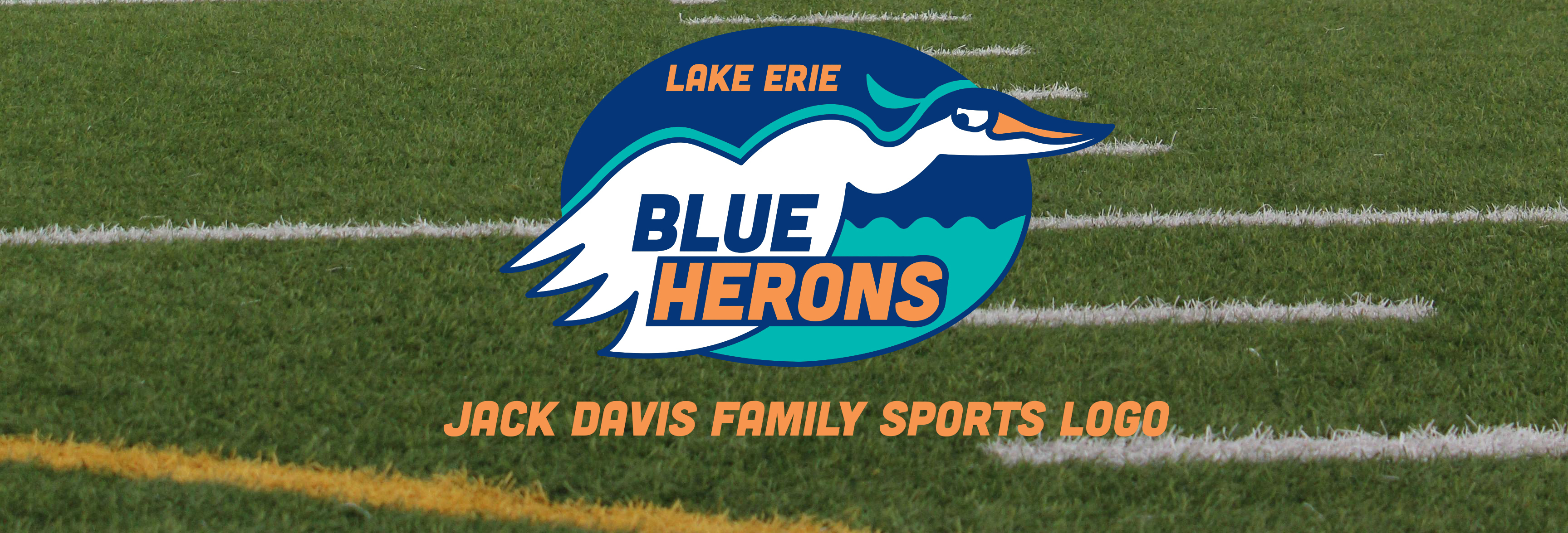 Lake Erie Blue Herons logo project hero image