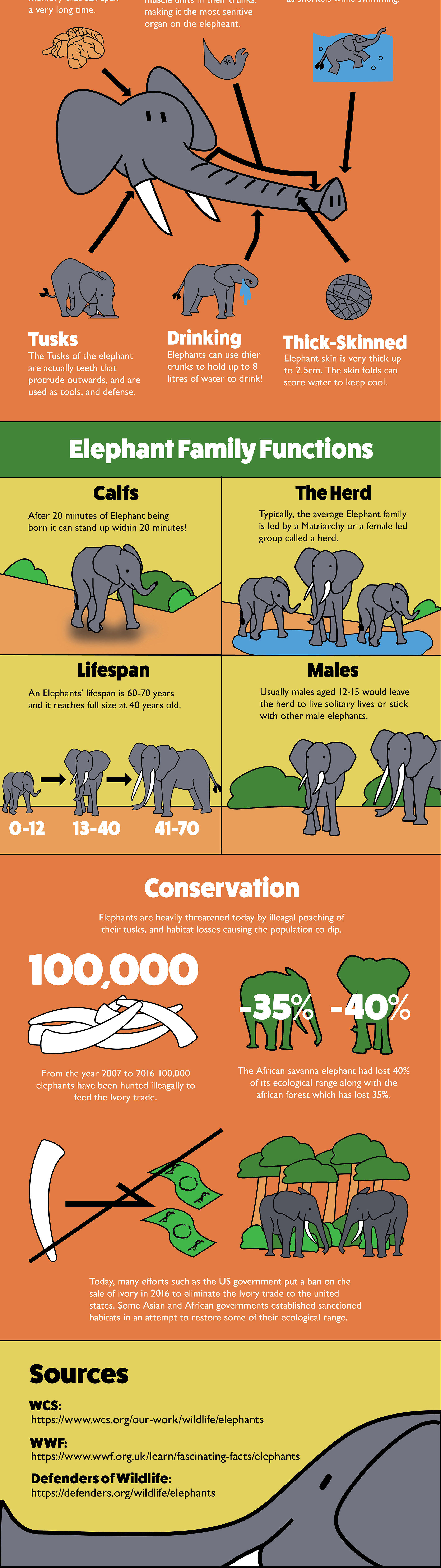 Finalized design og the Elephants Infographic Project