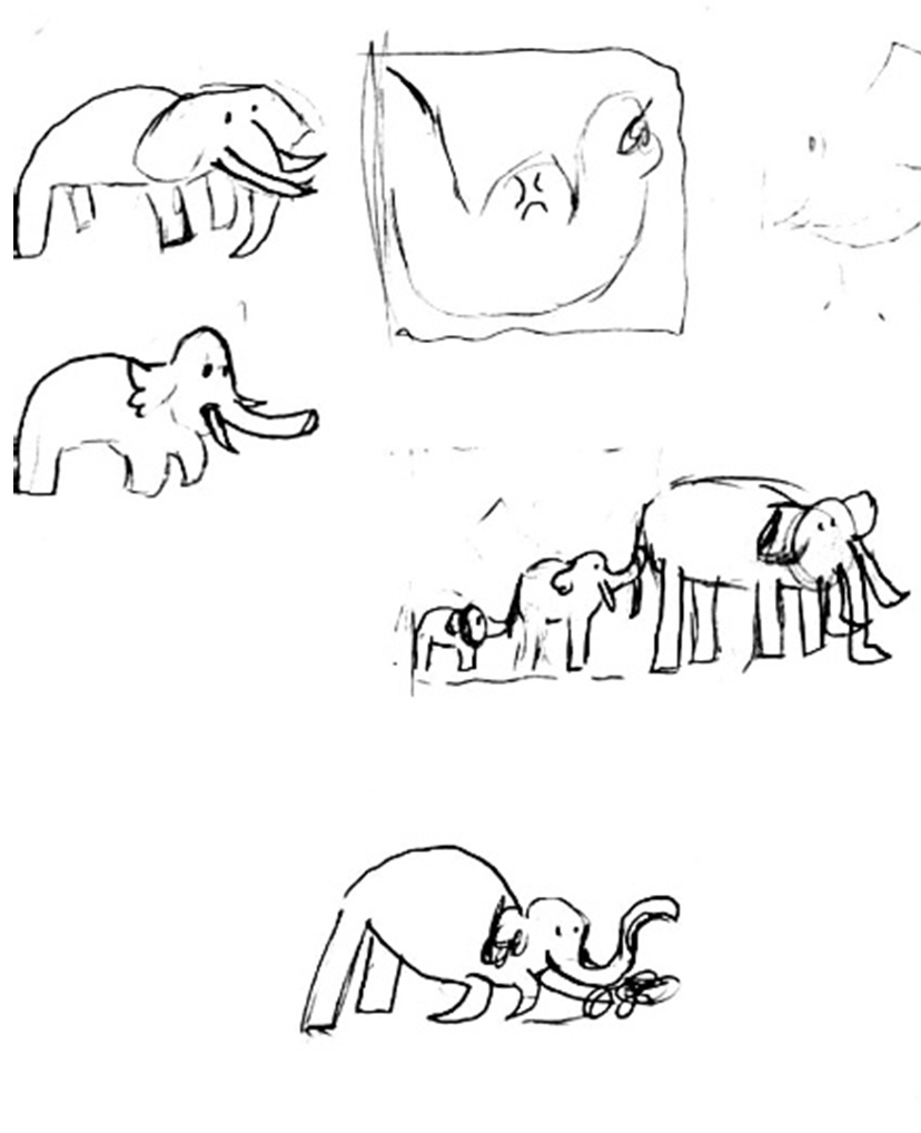 Elephant Sketches and graphic concept