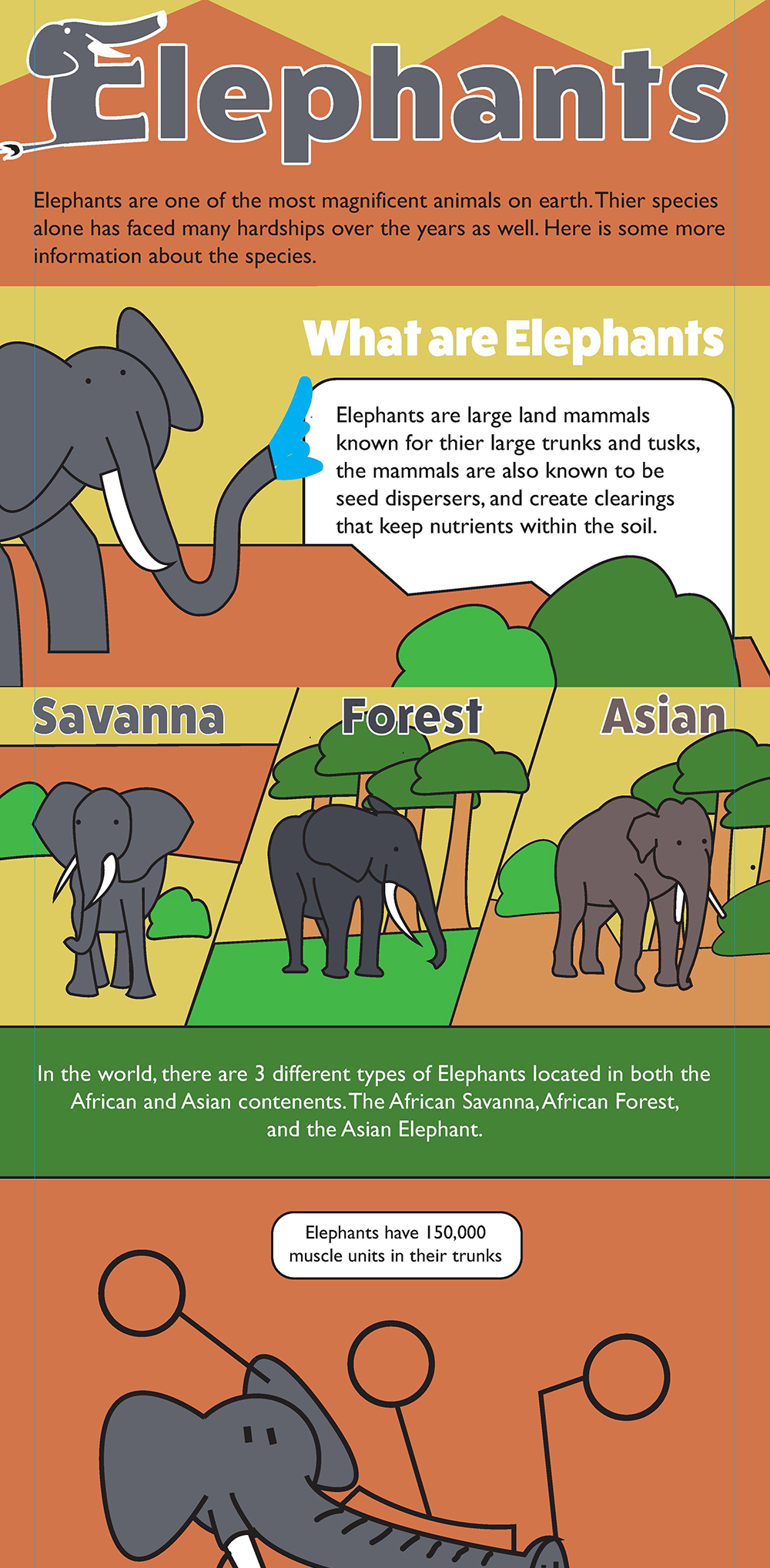 First version of the Elephants infographic
