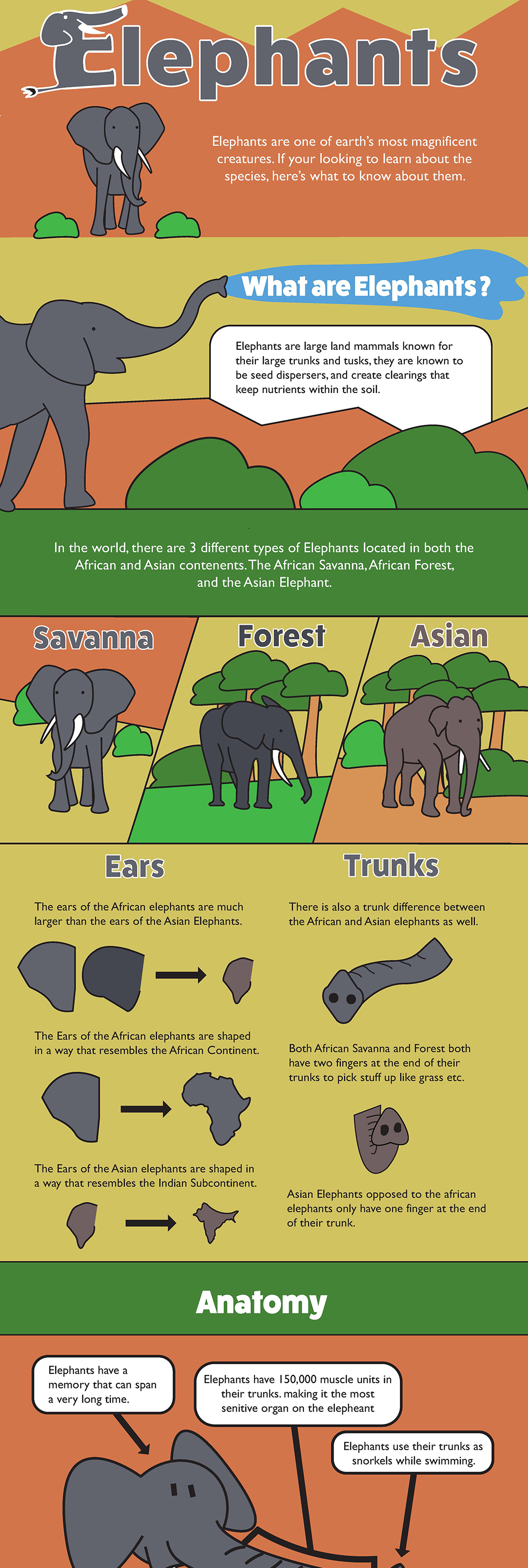 Second version of the Elephants infographic