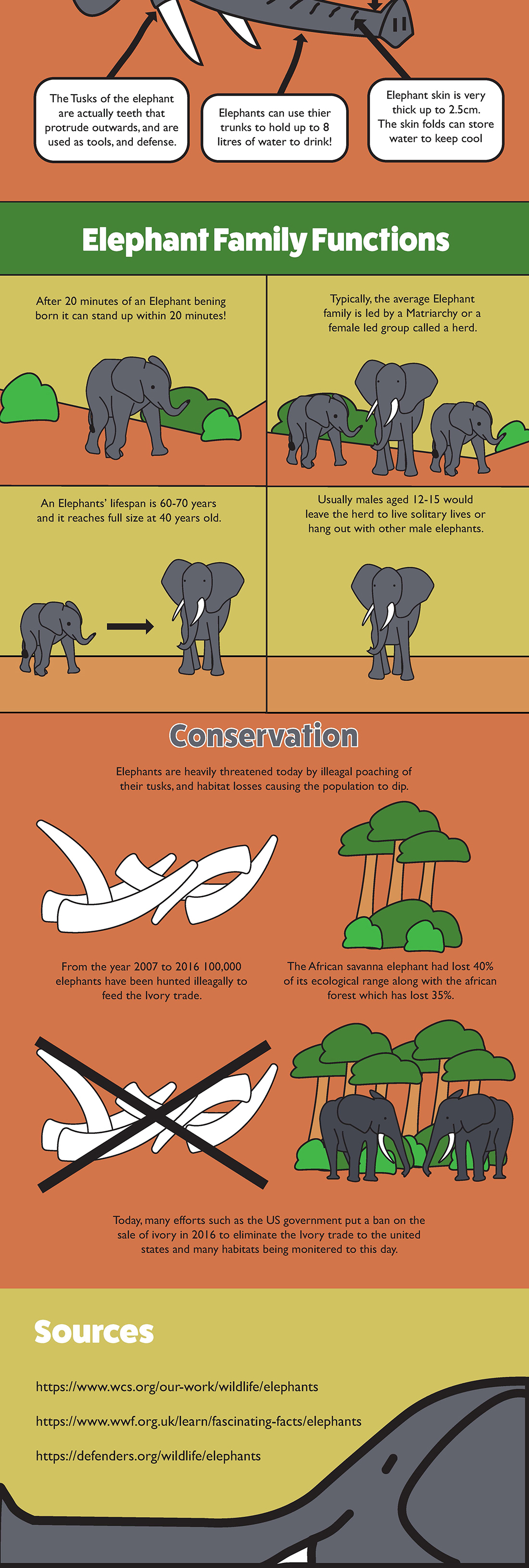 Second version of the Elephants infographic