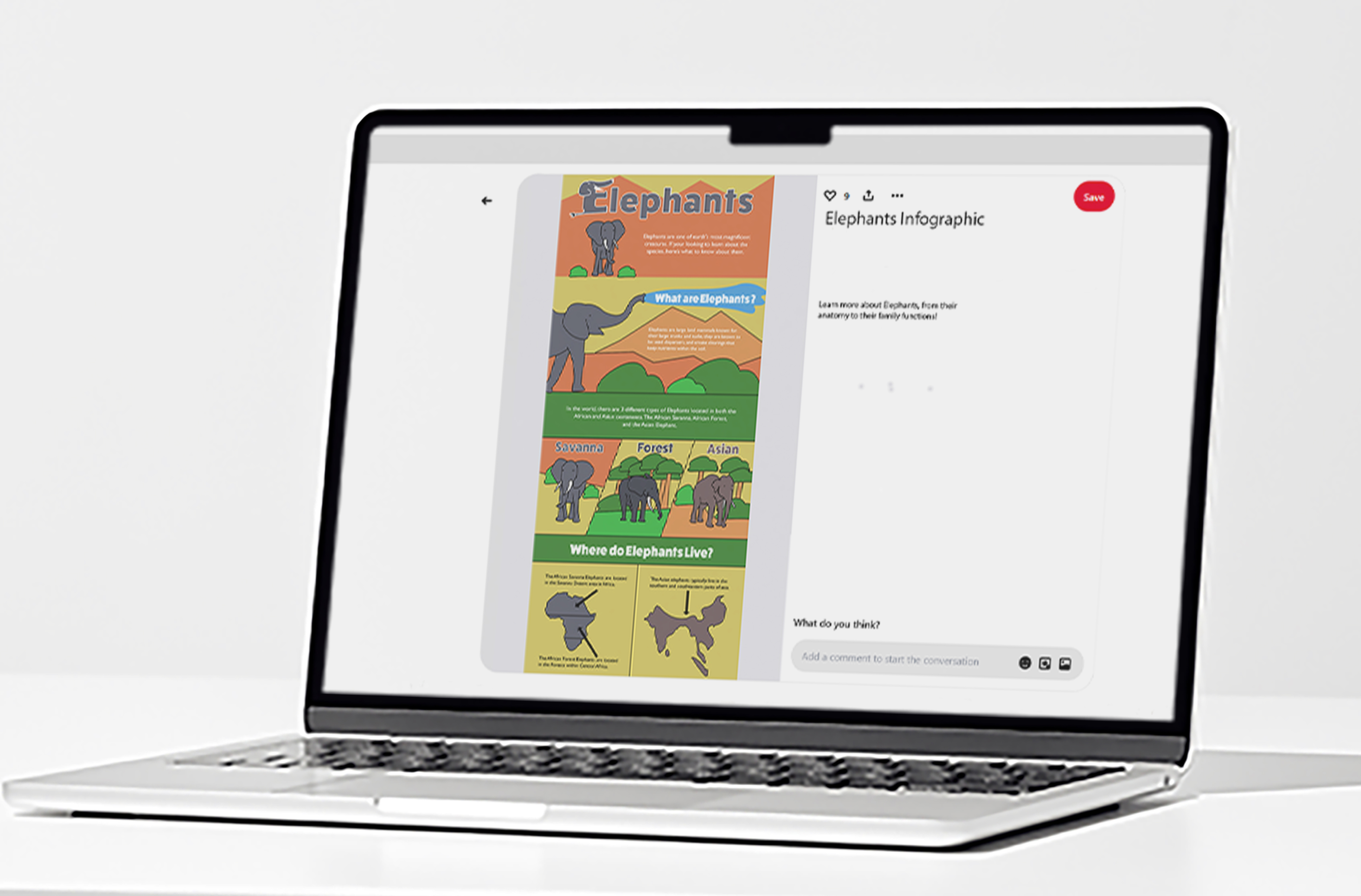 Elephants Infographic Project mockup for pinterest